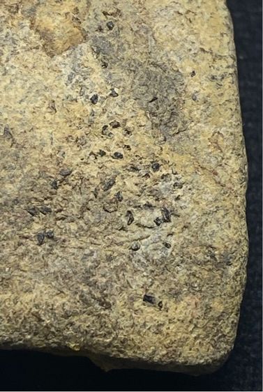 หลวงปู่ทวดปี 2497 พิมพ์ใหญ่หัวขีด ไหลจุดหรือพิมพ์ใหญ่ A เนื้อนิยม  สวยมากหน้าตาคมชัด สภาพเดิม ๆ         P 707 รูปที่ 12