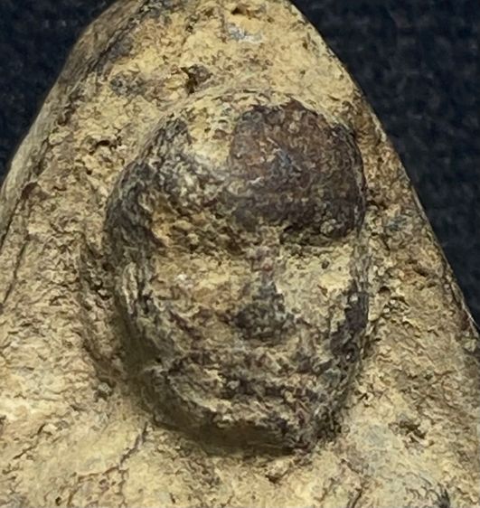 หลวงปู่ทวดปี 2497 พิมพ์ใหญ่หัวขีด ไหลจุดหรือพิมพ์ใหญ่ A เนื้อนิยม  สวยมากหน้าตาคมชัด สภาพเดิม ๆ         P 707 รูปที่ 13