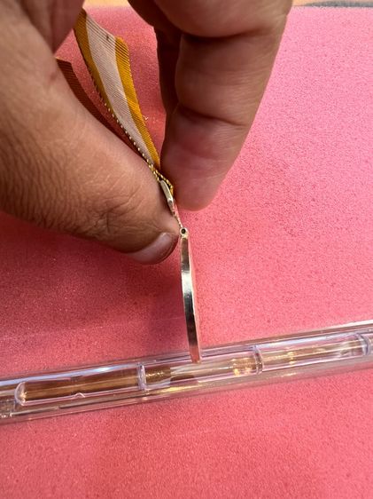 เหรียญแพรแถบ ร.10 รูปที่ 5