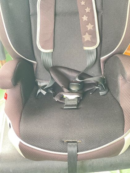 คาร์ซีท รูปที่ 6