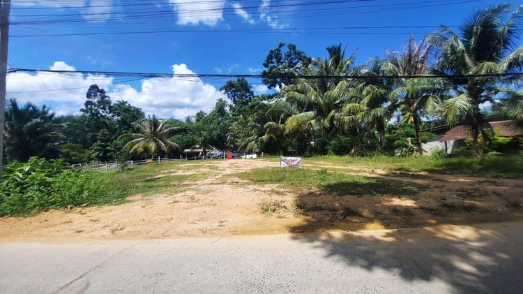 ที่ดินถมแล้ว ใกล้โรงเรียนบ้านปลายละหาน อ.รัตภูมิ รูปที่ 4