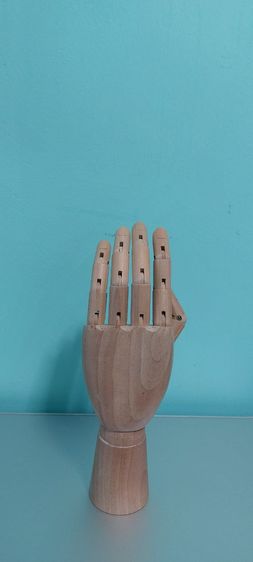 มือไม้ รูปที่ 4