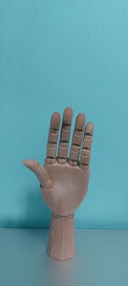 มือไม้ รูปที่ 10