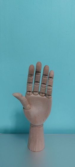 มือไม้ รูปที่ 8