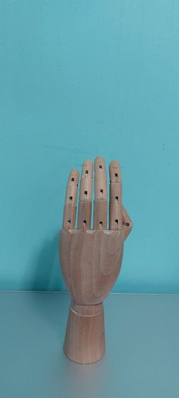 มือไม้ รูปที่ 5