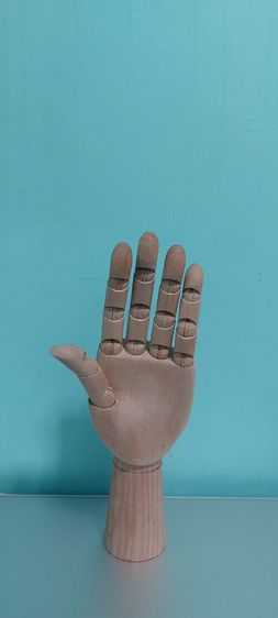 มือไม้ รูปที่ 9