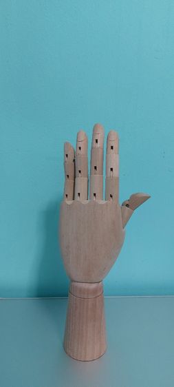 มือไม้ รูปที่ 7