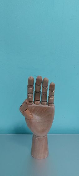 มือไม้ รูปที่ 2