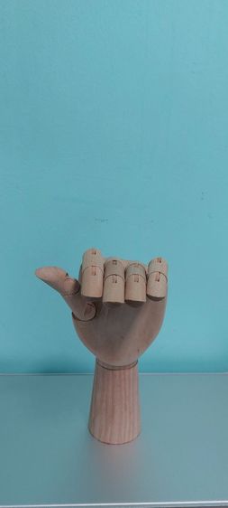 มือไม้ รูปที่ 11