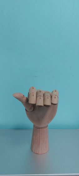 มือไม้ รูปที่ 12