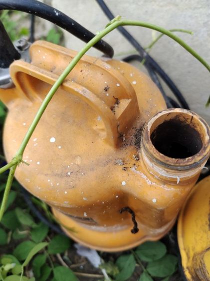 ปั๊มน้ำไดโว่ขนาด 1 นิ้ว รูปที่ 6