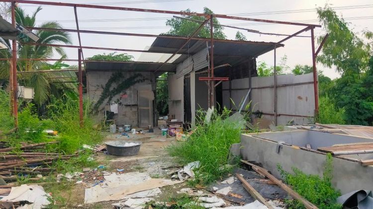 ขายที่ดินหรือให้เช่า 5000ต่อเดือน (ถ้าซื้อ ตรว.ละ 13,500 บาท )ห่างถนน 12เลน 900 เมตร ซอยลำโพ หลังที่ว่าการ อ.บางบัวทอง ให้เช่าพร้อมสิ่งสร้าง รูปที่ 3