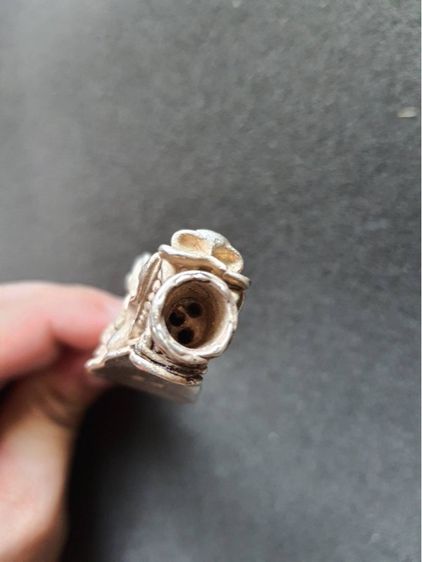 มังกร กระไหล่เงินสะสม รูปที่ 3