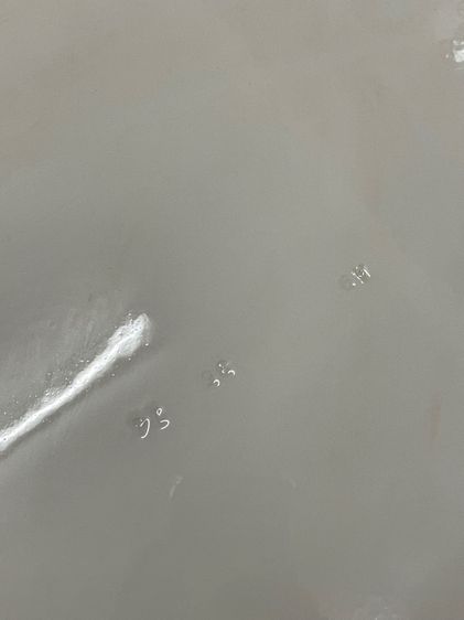 ถาด กระเบื้อง วงรีลายดอกไม้ ใบใหญ่สะสม รูปที่ 9