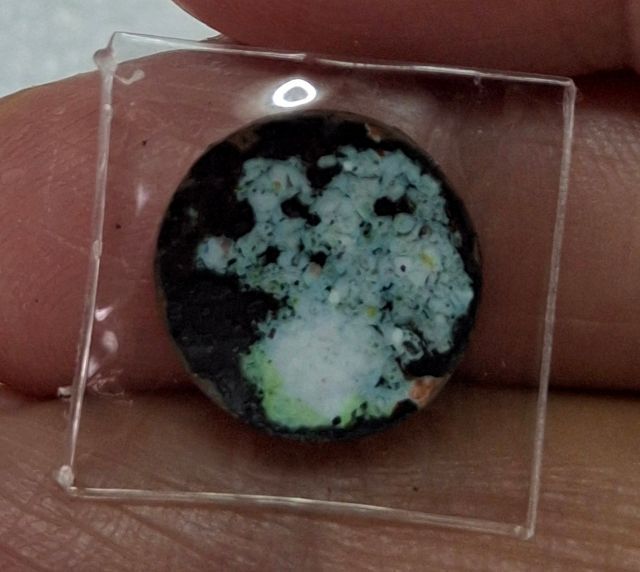 ล็อคเก็ตหลวงปู่ทิม ปี 2518 พิมพ์กลมเล็ก รูปที่ 3