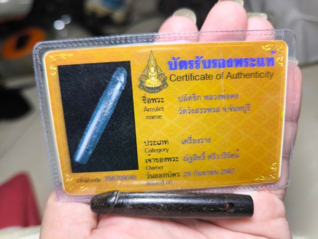 ปลัดขิกหลวงพ่อคง วัดวังสรรพรส ไม้งิ้วดำ
