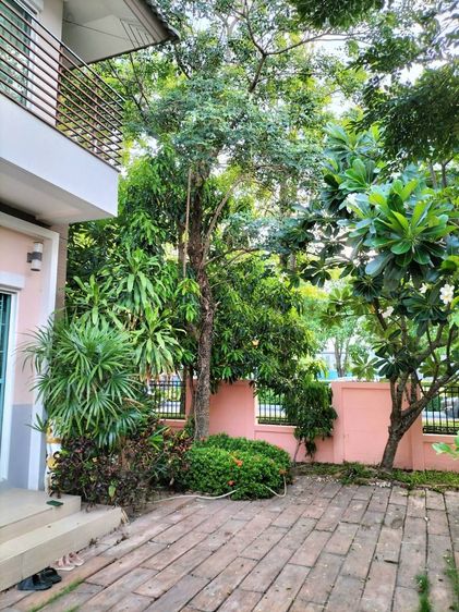 ขายบ้านเดี่ยวหลังมุมขนาด 72 ตร.วา ใกล้สนามบินสุวรรณภูมิ บางพลี ซอยวัดหลวงพ่อโต