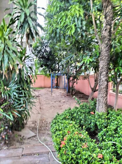 อื่นๆ ไม่มี 2018 ขายบ้านเดี่ยวหลังมุมขนาด 72 ตร.วา ใกล้สนามบินสุวรรณภูมิ บางพลี ซอยวัดหลวงพ่อโต รูปที่ 3