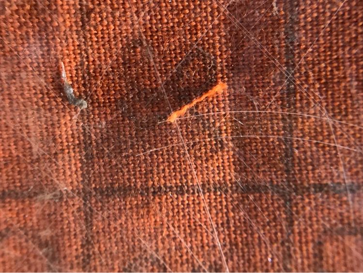 ภาพพ่อกวยหลังผ้ายันต์ รูปที่ 14