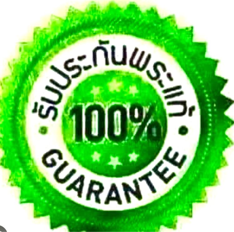 เหรียญรูปไข่ หลวงปู่ทวด วัดเอี่ยมวรนุช ปี2506  รูปที่ 17