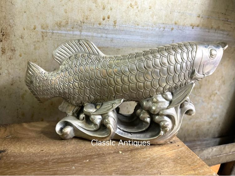 ปลามังกร กระไหล่เงินสะสมA3 รูปที่ 7