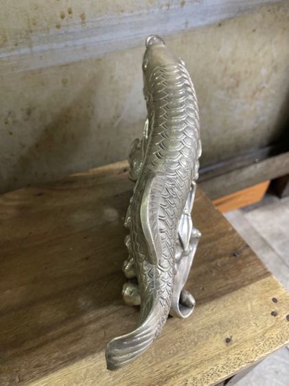 ปลามังกร กระไหล่เงินสะสมA3 รูปที่ 6