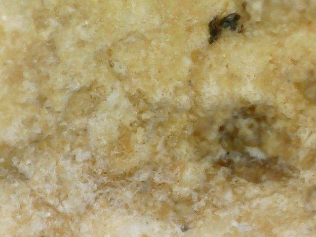 พระสมเด็จบางขุนพรหม รูปที่ 13