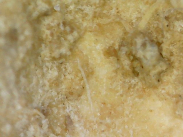 พระสมเด็จบางขุนพรหม รูปที่ 14