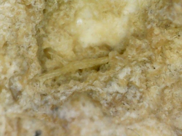 พระสมเด็จบางขุนพรหม รูปที่ 16