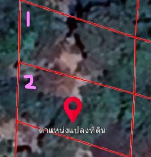 ที่ดินเปล่าหาดใหญ่ 2 แปลง (96.8 ตารางวา) รูปที่ 2