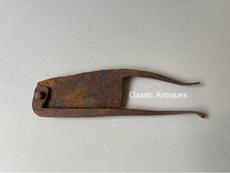 กรรไกร หนีบหมาก B2