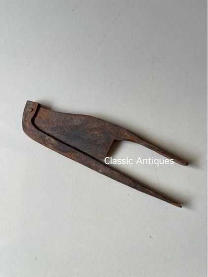 กรรไกร หนีบหมาก B1 รูปที่ 2