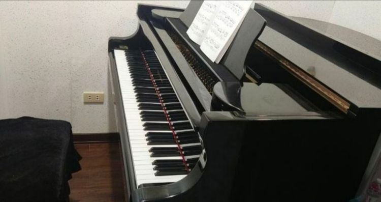 เรียนเปียโนกับครูหญิง จบเอกเปียโน เรียนสอบเกรด แข่งเปียโน สายไหม วงศกร หทัยราษฎร์ เพิ่มสิน ลำลูกกา เทพรักษ์ สะพานใหม่ คลอง4 คลอง5 คลอง6 คลองสามวา จตุโชติ นิมิตใหม่ รูปที่ 14