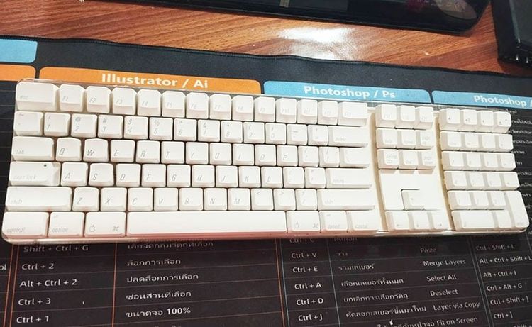 เม้าส์ และคีย์บอร์ด Apple Wireless Keyboard (อังกฤษ) Model  A1016 โมเดลนี้หาไม่ได้แล้ว 