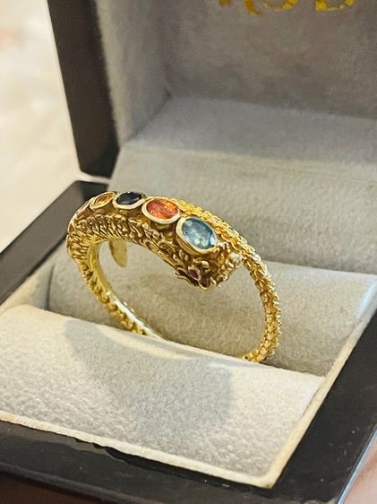 แหวนพญานาคนพเก้า รูปที่ 4