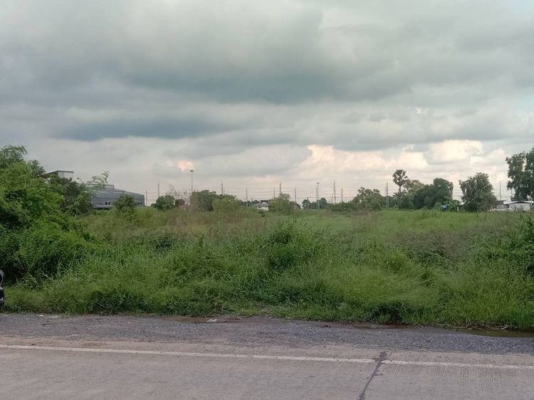 ขาย และ เช่าที่ดิน ต.บึงคำพร้อย อ.ลำลูกกา จ.ปทุมธานี รูปที่ 4