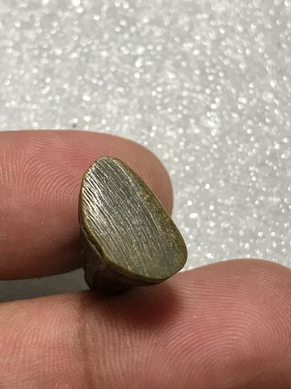 หลวงพ่อโสธรสวยเดิมสนใจองค์ไหนสอบถามได้คับแบ่งปัน รูปที่ 12