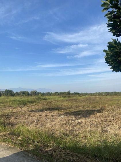 ที่ดินสวยและบรรยากาศดีมาก มีถนนผ่ากลาง อยู่หลังโรงพยาบาลมะขาม รูปที่ 3