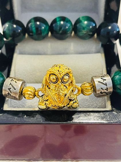 พญานกถืดทือ หลวงปู่ชู