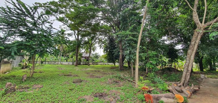 ขายที่ดินโซน บางแค รูปที่ 3