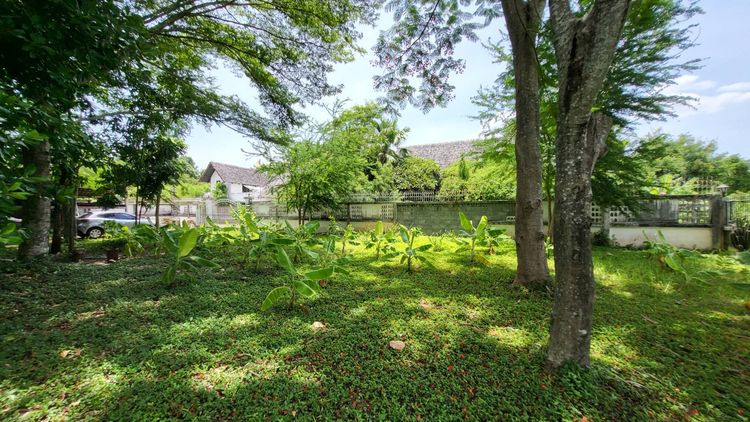 ขายที่ดินโซน บางแค รูปที่ 4