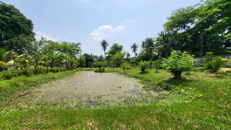 ขายที่ดินโซน บางแค รูปที่ 2