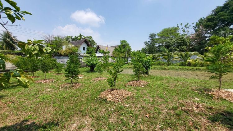 ขายที่ดินโซน บางแค รูปที่ 3
