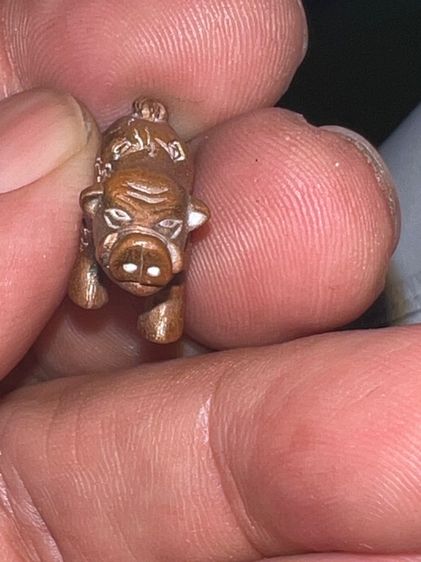 หมูเขี้ยวตัน มหาลาภ หลวงพ่อเส็ง ปี22 พิมพ์เล็ก รูปที่ 6