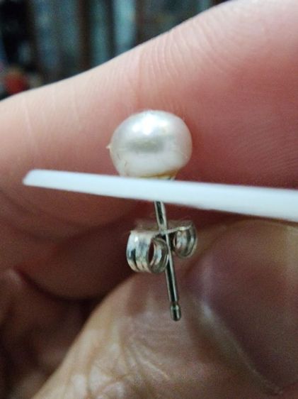 ของสะสม เก่าเก็บ เดิมๆ สวย หายาก ของใหม่ พร้อมส่งครับพี่ๆ  รูปที่ 7