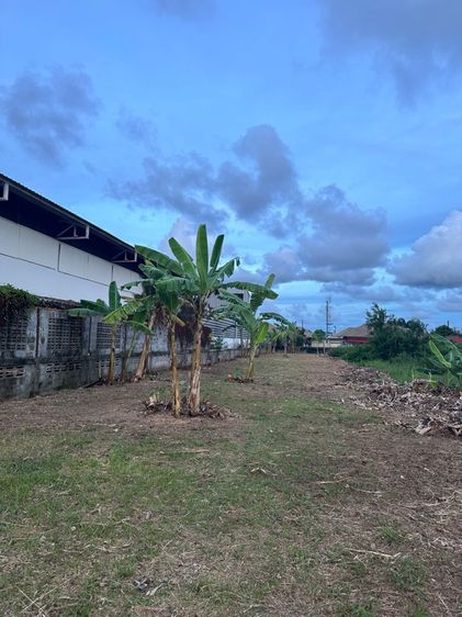 “ที่ดินเปล่า เเถวครัวเเกงเผ็ด เชิงเนิน เมืองระยอง” รูปที่ 4