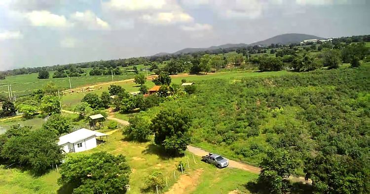 ที่ดินว่างเปล่า 5 ไร่ 1 งาน 76 ตารางวา ติดถนนปูนหน้าที่ดิน มีไฟฟ้าถึง  ไร่ละ 150,000 บาท ตำบลหัวนา อ.เดิมบางนางบวชสนใจติดต่อ 081-7804073 รูปที่ 4