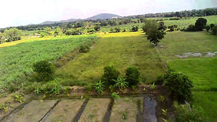 ที่ดินว่างเปล่า 5 ไร่ 1 งาน 76 ตารางวา ติดถนนปูนหน้าที่ดิน มีไฟฟ้าถึง  ไร่ละ 150,000 บาท ตำบลหัวนา อ.เดิมบางนางบวชสนใจติดต่อ 081-7804073