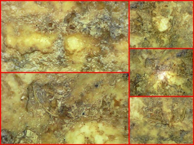 พระสมเด็จบางขุนพรหม รูปที่ 12