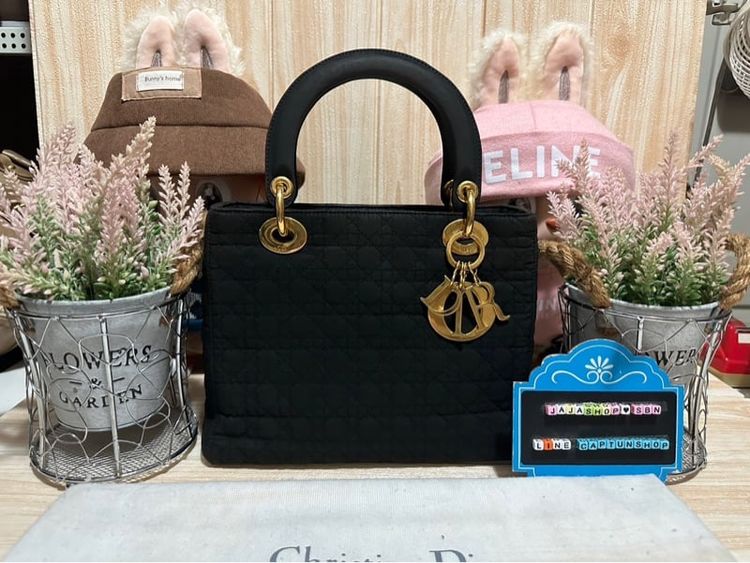 Christian Dior bag SIZE 9